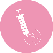 Embryo Transfer