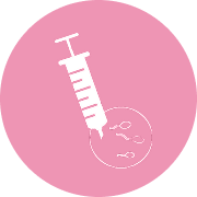 Embryo Transfer